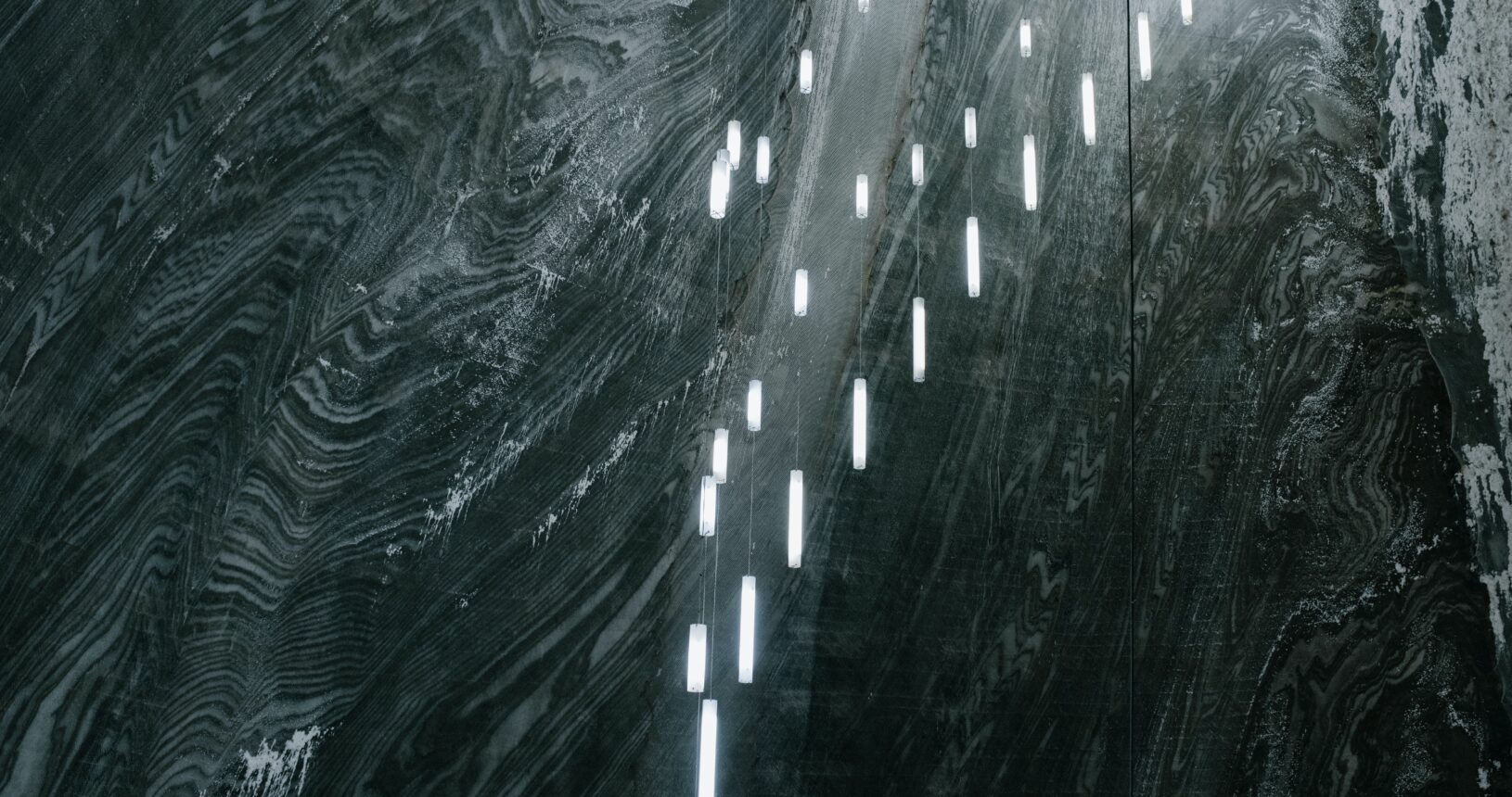 pexels-julia-volk-5206979